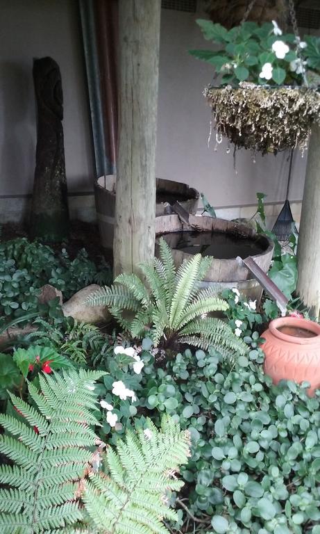 Grampians B&B Nelson Zewnętrze zdjęcie